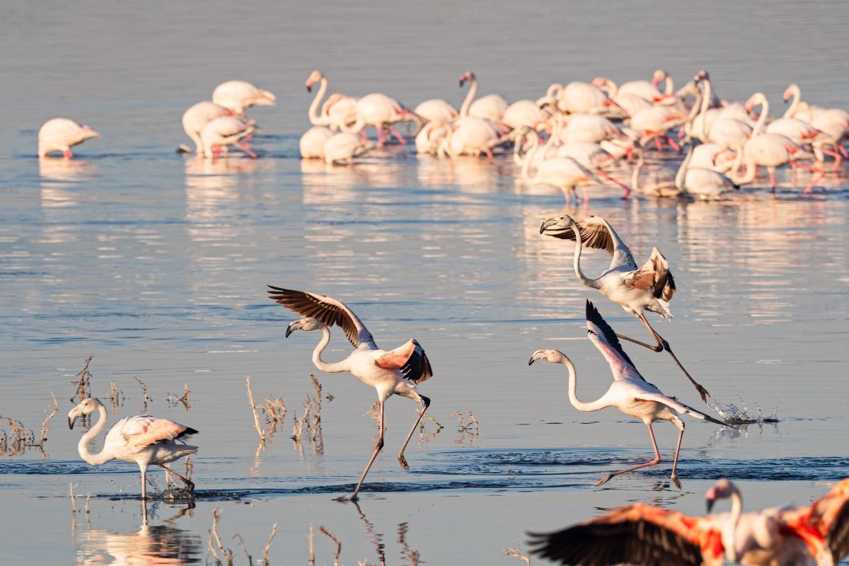 2 Lake Elementaita | 1 Lake Naivasha | 3 Maasai Mara